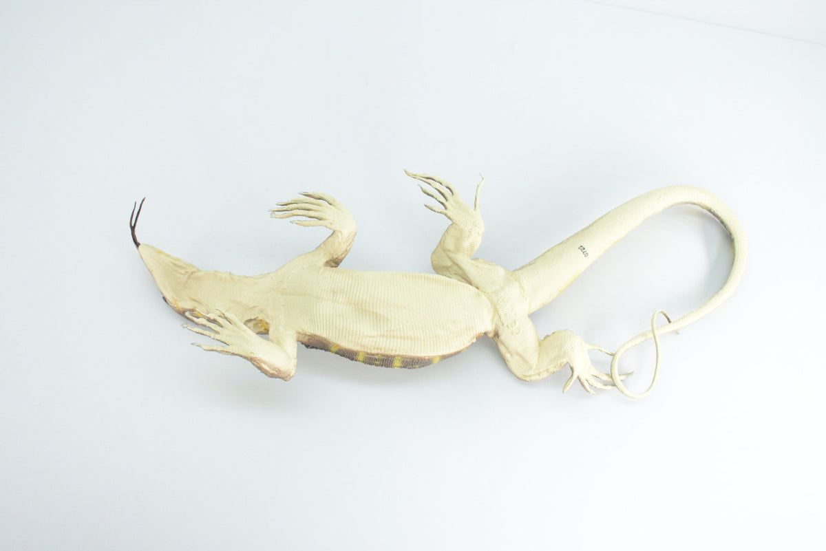 Monitor Lizard, Hand Painted, High Quality, Hard Rubber Lizard, Realistic Reptile, Toy Figure, Diorama Model, Replica, Kids, Educational, Gift,    13 Inches.   IM20 B656