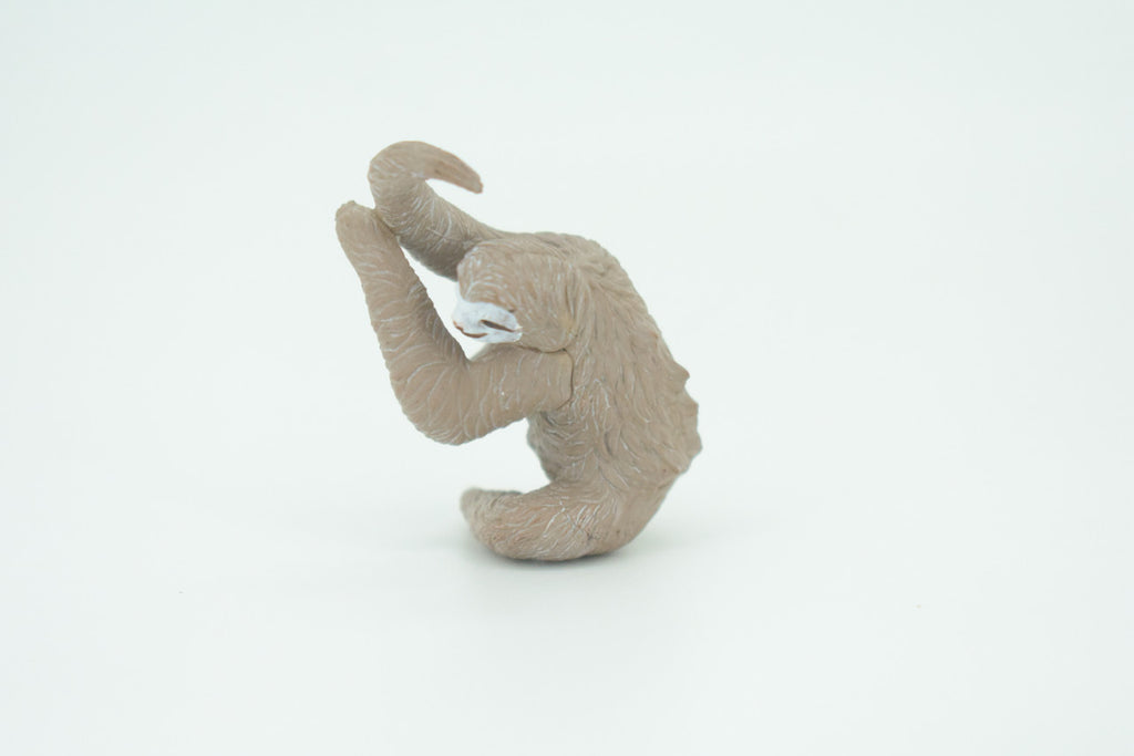 Sloth, 3 Toed Sloth, Bradypus tridactylus, Hand Painted, Educational, Rubber Animal, Realistic Figure, Lifelike, Gift,    2"    SF35 B44
