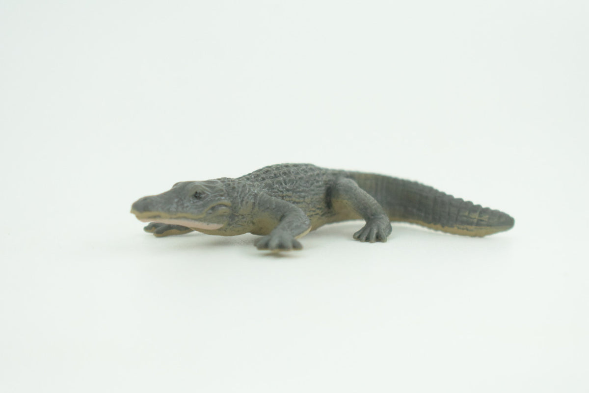 Alligator, American, Rubber Reptile, Educational, Realistic, Hand Painted, Crocodile, Figure, Lifelike Model, Diorama Figure, Replica,Toys, Kids, Gift,     3 Inches.     SF87 B33