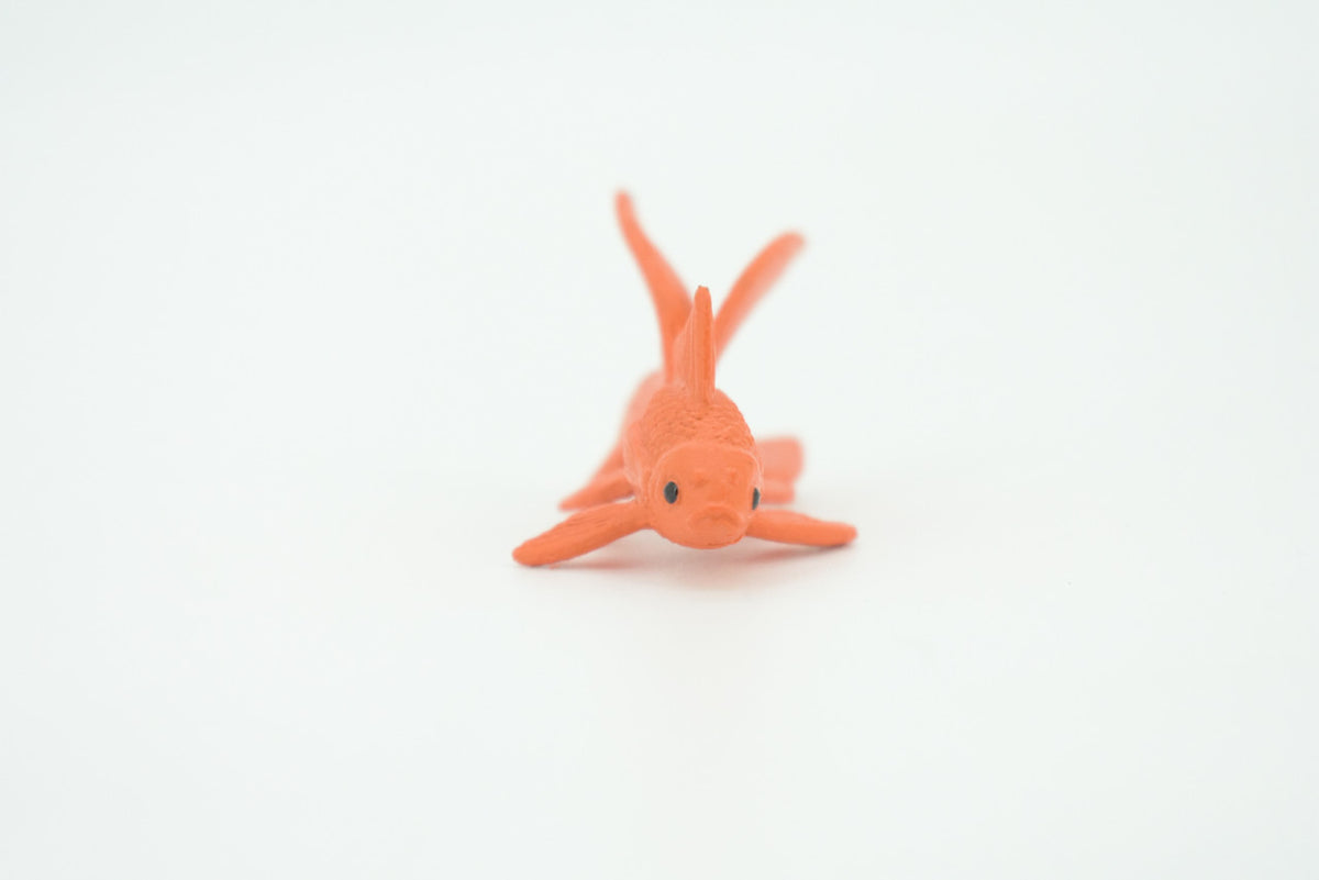 Fantail Goldfish, Fancy Goldfish, Rubber Fish, Realistic Figure, Educational, Lifelike, Toy Model, Figurine, Replica, Gift       1 3/4"   F1672 B63