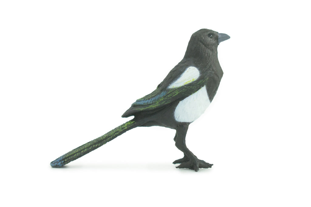 Magpie, Museum Quality, Educational, Hand Painted, Rubber Bird, Realistic, Toys, Kids, Gift, 3 Inches. CH739 BB184