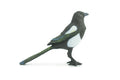 Magpie, Museum Quality, Educational, Hand Painted, Rubber Bird, Realistic, Toys, Kids, Gift, 3 Inches. CH739 BB184