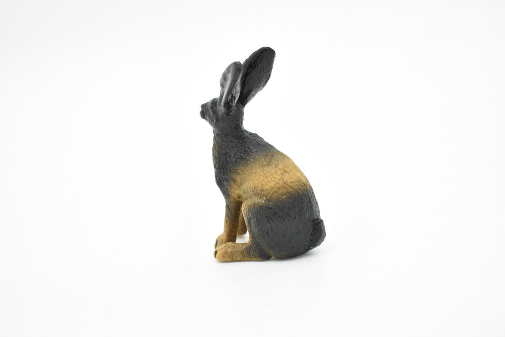 Jackrabbit, Hare, Black-tailed Rabbit, Rodent, Museum Quality, Hand Painted, Rubber Mammal, Realistic Toy Figure, Replica, Kids, Educational, Gift,    3 Inches.    CH077 BB81