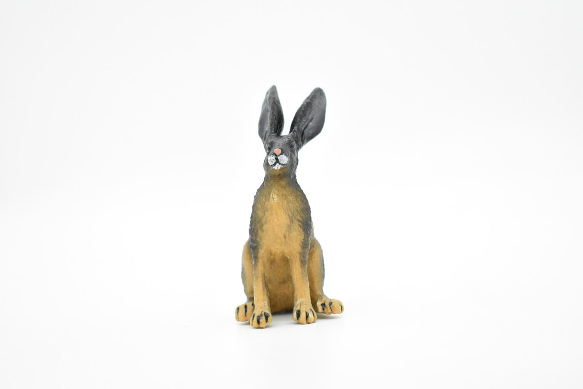 Jackrabbit, Hare, Black-tailed Rabbit, Rodent, Museum Quality, Hand Painted, Rubber Mammal, Realistic Toy Figure, Replica, Kids, Educational, 3 Inches.