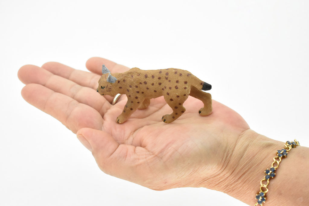 Bobcat, Lynx Rufus, Very Nice Design, Hand Painted, Educational, Rubber Animal, Realistic Toy Figure, Diorama Model, Kids, 3 Inches. 