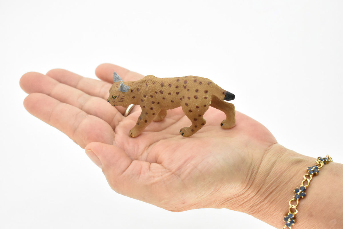 Bobcat, Lynx Rufus, Very Nice Design, Hand Painted, Educational, Rubber Animal, Realistic Toy Figure, Diorama Model, Kids, 3 Inches. 