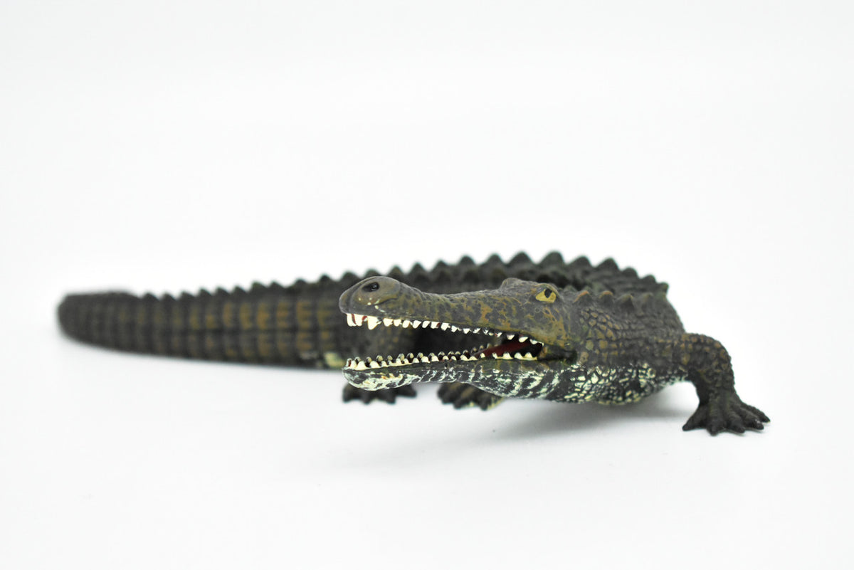 Sarchosuchus Dinosaur, Museum Quality Plastic Replica     6"     M029-B634