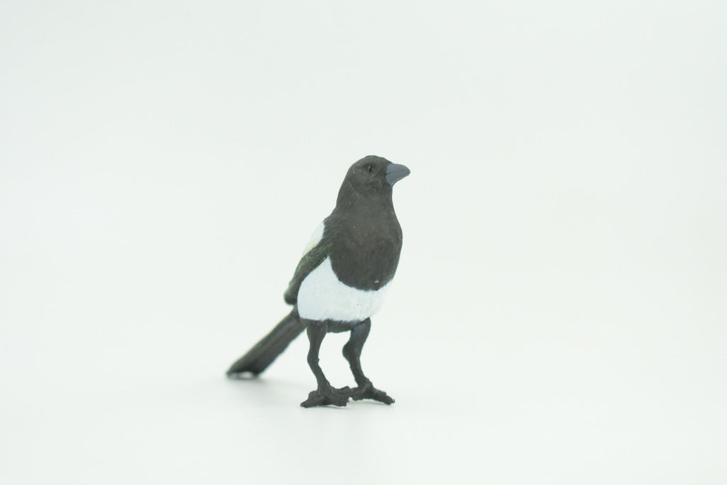 Magpie, Museum Quality, Educational, Hand Painted, Rubber Bird, Realistic, Toys, Kids, Gift,    3 Inches.   CH739 BB184