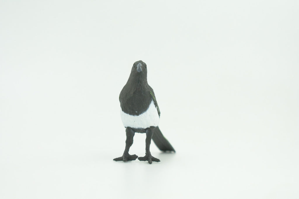 Magpie, Museum Quality, Educational, Hand Painted, Rubber Bird, Realistic, Toys, Kids, Gift,    3 Inches.   CH739 BB184