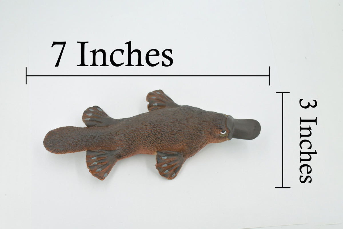 Platypus, Duck-billed platypus, Museum Quality, Hand Painted, Rubber Mammal, Realistic, Figure, Model, Replica, Toy, Kids, Educational, Gift,     7"     CH514 BB157