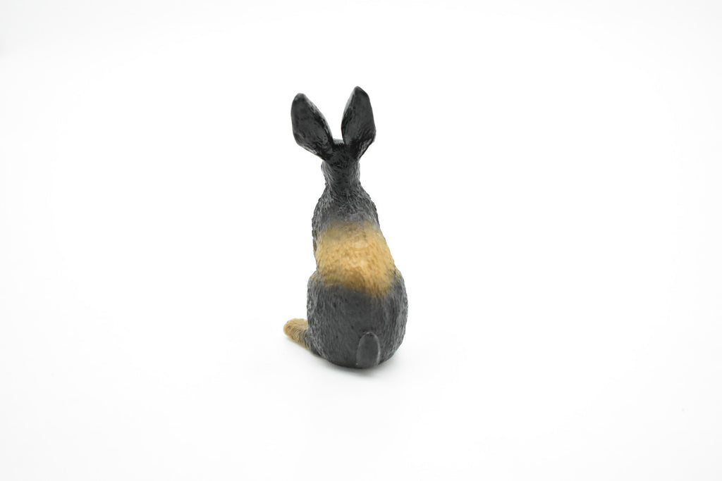 Jackrabbit, Hare, Black-tailed Rabbit, Rodent, Museum Quality, Hand Painted, Rubber Mammal, Realistic Toy Figure, Replica, Kids, Educational, Gift,    3 Inches.    CH077 BB81
