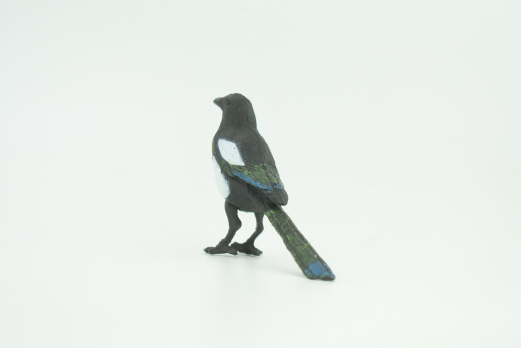 Magpie, Museum Quality, Educational, Hand Painted, Rubber Bird, Realistic, Toys, Kids, Gift,    3 Inches.   CH739 BB184