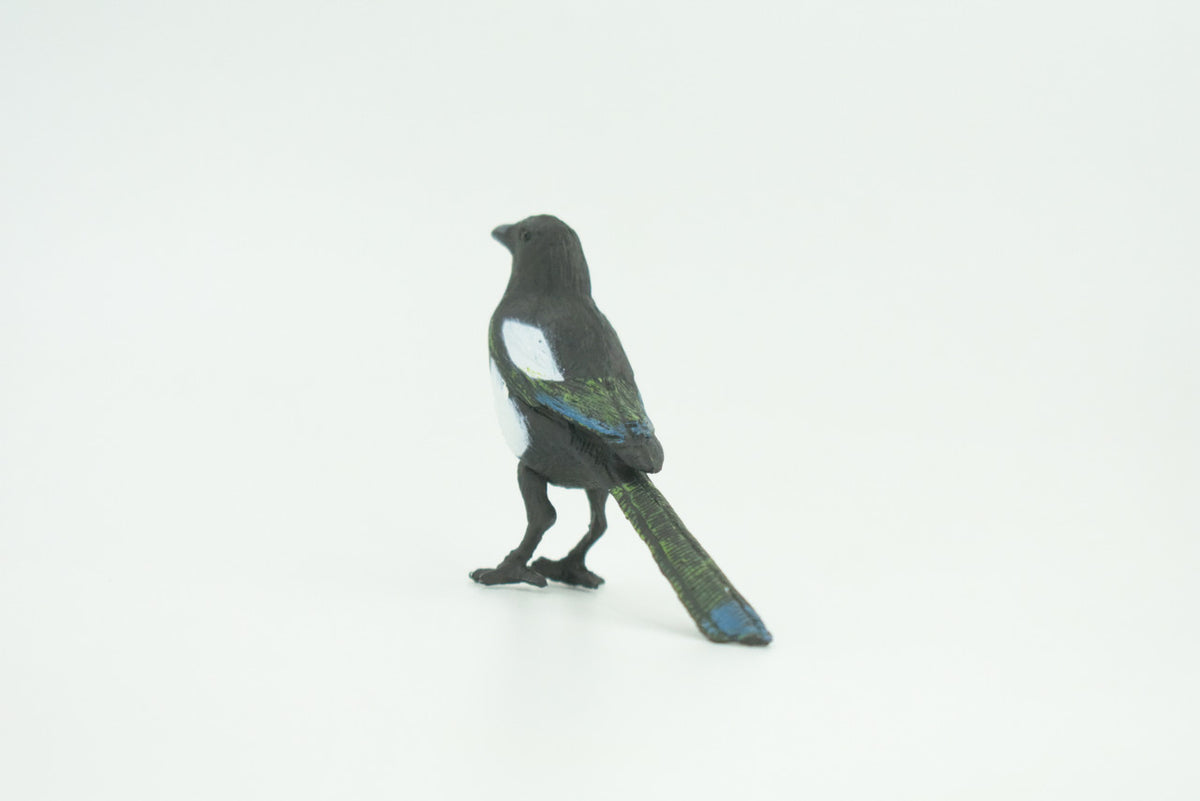 Magpie, Museum Quality, Educational, Hand Painted, Rubber Bird, Realistic, Toys, Kids, Gift,    3 Inches.   CH739 BB184