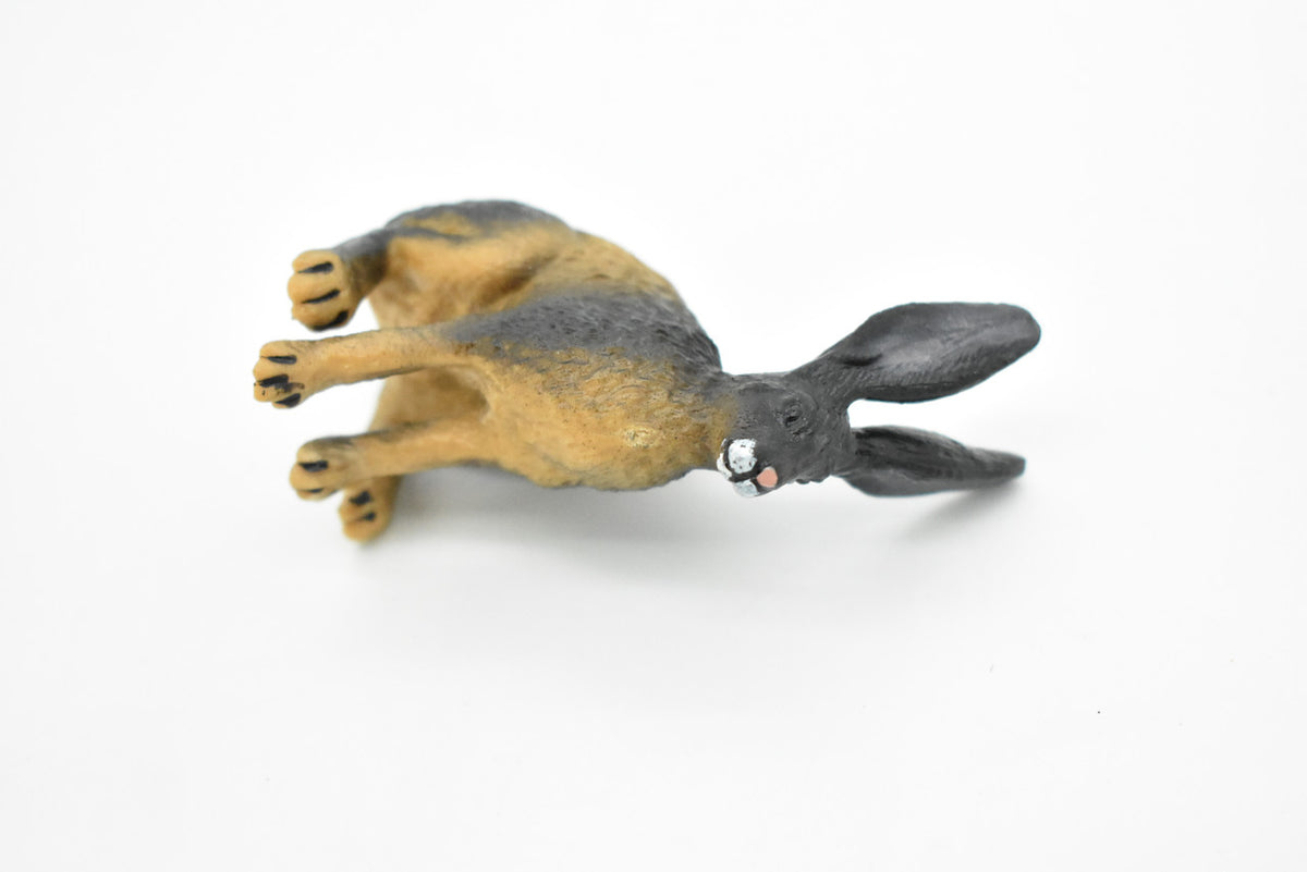 Jackrabbit, Hare, Black-tailed Rabbit, Rodent, Museum Quality, Hand Painted, Rubber Mammal, Realistic Toy Figure, Replica, Kids, Educational, Gift,    3 Inches.    CH077 BB81