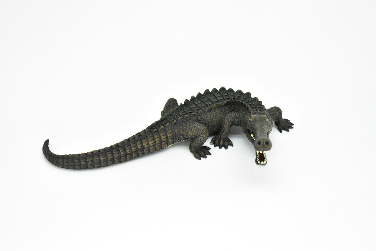 Sarchosuchus Dinosaur, Museum Quality Plastic Replica     6"     M029-B634