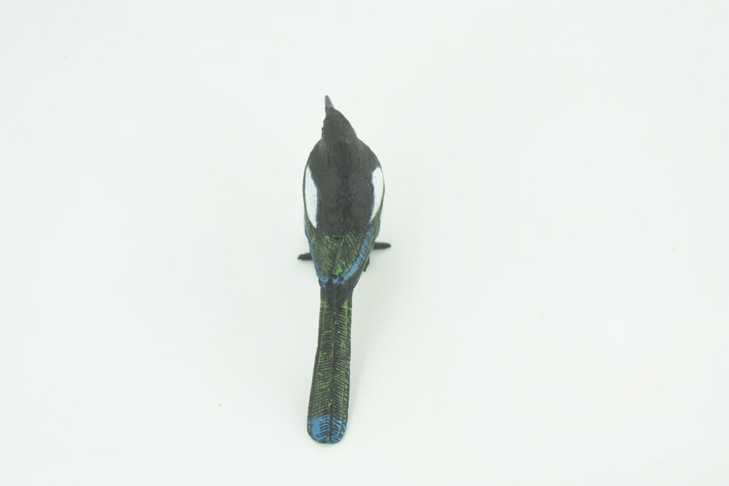 Magpie, Museum Quality, Educational, Hand Painted, Rubber Bird, Realistic, Toys, Kids, Gift,    3 Inches.   CH739 BB184