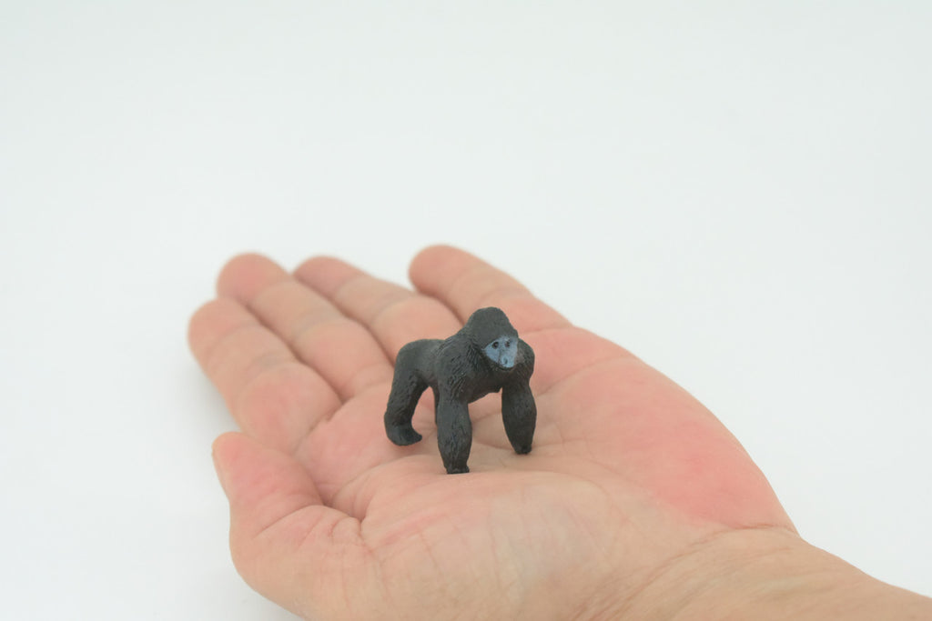 Gorilla, Mountain Gorilla, Hand Painted, Educational, Rubber Primate, Realistic Figure, Lifelike, Gift,    1 1/2 "    SF55 B58