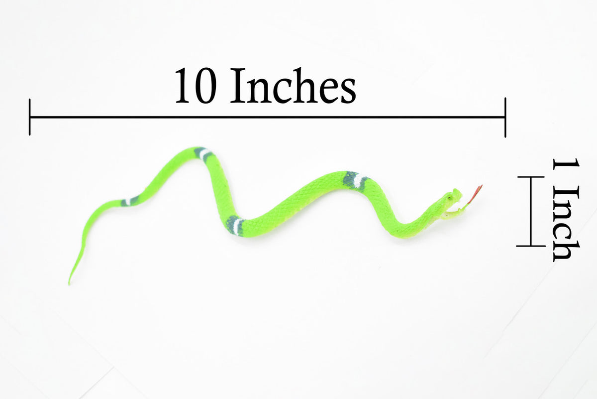 Snake, Green, Rubber Reptile, Educational, Realistic Hand Painted, Figure, Lifelike Model, Figurine, Replica, Gift,      10"       F2080 B142