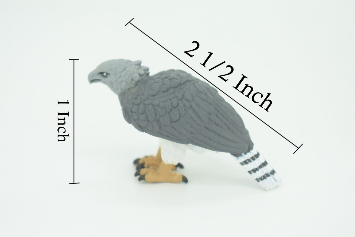 Eagle, Great Harpy Eagle, Harpia harpyja, Hand Painted, Educational, Rubber Animal, Realistic Figure, Lifelike, Gift,    2 1/2"    SF34 B44