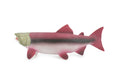 Fish, Coho, Silver Salmon, Spawning, Salmonidae, Museum Quality, Hand Painted, Realistic, Rubber, Figure, Model, Toy, Kids, Educational, Gift,     6 1/2"   CH669 BB170