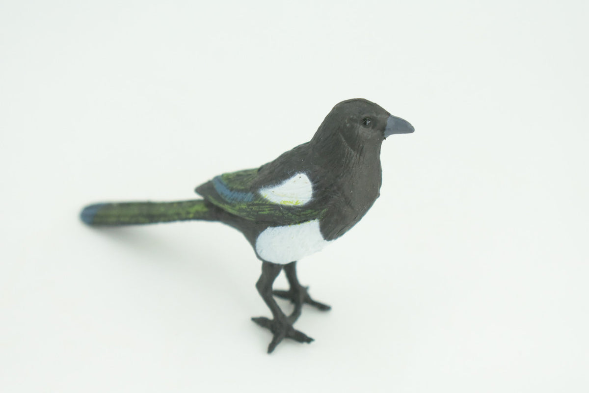 Magpie, Museum Quality, Educational, Hand Painted, Rubber Bird, Realistic, Toys, Kids, Gift,    3 Inches.   CH739 BB184