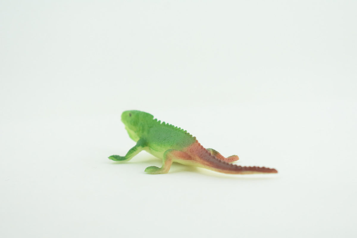 Green Iguana with Brown Tail, Lizard, Rubber Reptile, Hand Painted, Educational, Realistic, Model, Replica, Toys, Kids, Gift,   2 1/2 Inches.    WR45 B197