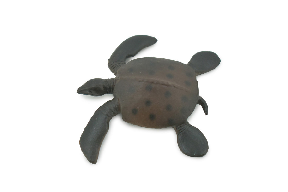 Turtle, Brown Spotted Turtle, High Quality, Hand Painted, Rubber Reptile, Realistic Toy Figure, Model, Replica, Kids, Educational, Gift,   2"    CH620 BB167