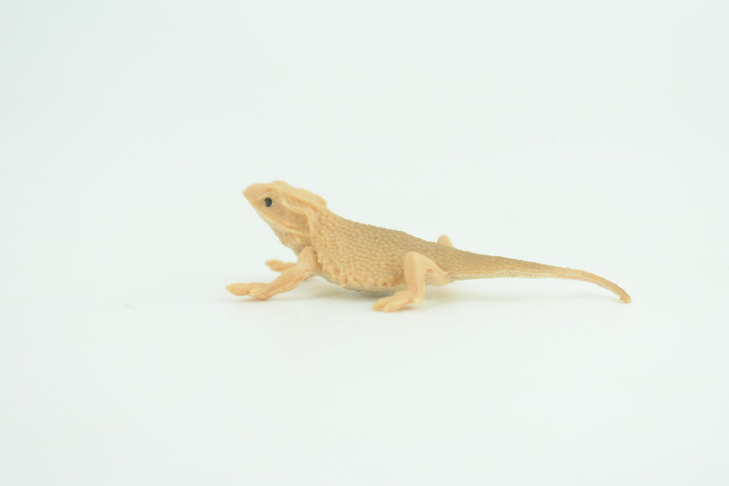 Horned Lizard, Horny Toad, Hand Painted, Educational, Realistic, Rubber, Reptile, Lizard, Diorama, Figure, Toys, Kids, Gift,  2  1/2 Inches. CH930 BB204