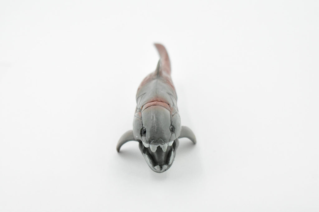 Dunkleosteus, Prehistoric Fish, Dinosaur, Museum Quality, Rubber Fish, Hand Painted, Realistic Toy Figure, Diorama Model, Kids, Educational,  5 Inches.
