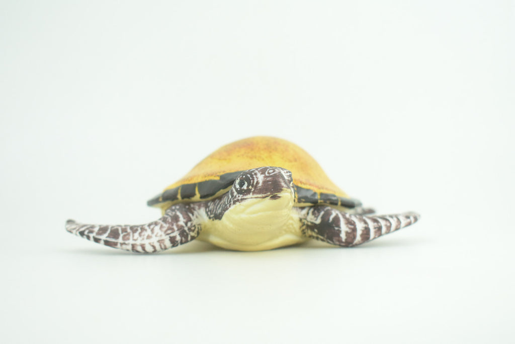 Loggerhead Sea Turtle, Museum Quality, Hand Painted, Rubber Reptile, Realistic, Diorama, Toy Figure, Model, Kids, Educational, Gift,   7 Inches.   CH1004 BB217