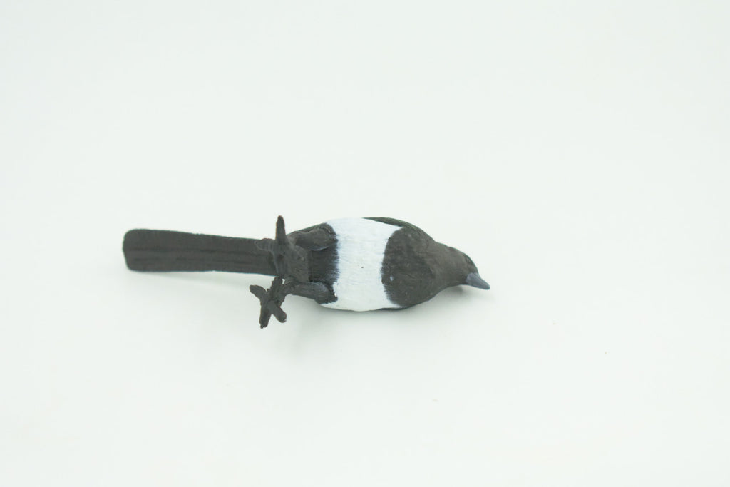 Magpie, Museum Quality, Educational, Hand Painted, Rubber Bird, Realistic, Toys, Kids, Gift,    3 Inches.   CH739 BB184