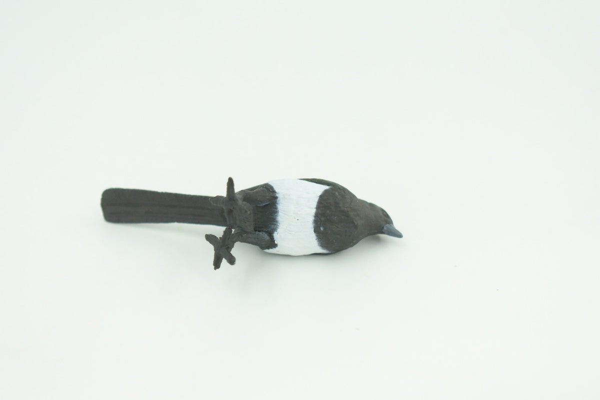 Magpie, Museum Quality, Educational, Hand Painted, Rubber Bird, Realistic, Toys, Kids, Gift,    3 Inches.   CH739 BB184