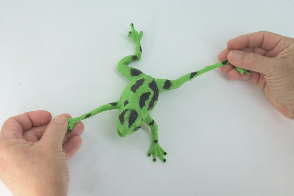 Frog, Green, Stretchable, Squishy, Squeezable, Very nice Soft Rubber Amphibian, Educational, Realistic, Hand Painted, Figure, Replica, Gift,    6"     US05 B59