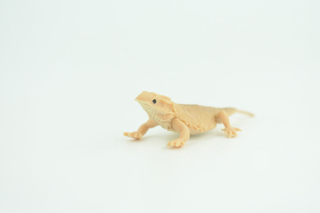Horned Lizard, Horny Toad, Hand Painted, Educational, Realistic, Rubber, Reptile, Lizard, Diorama, Figure, Toys, Kids, Gift,  2  1/2 Inches. CH930 BB204