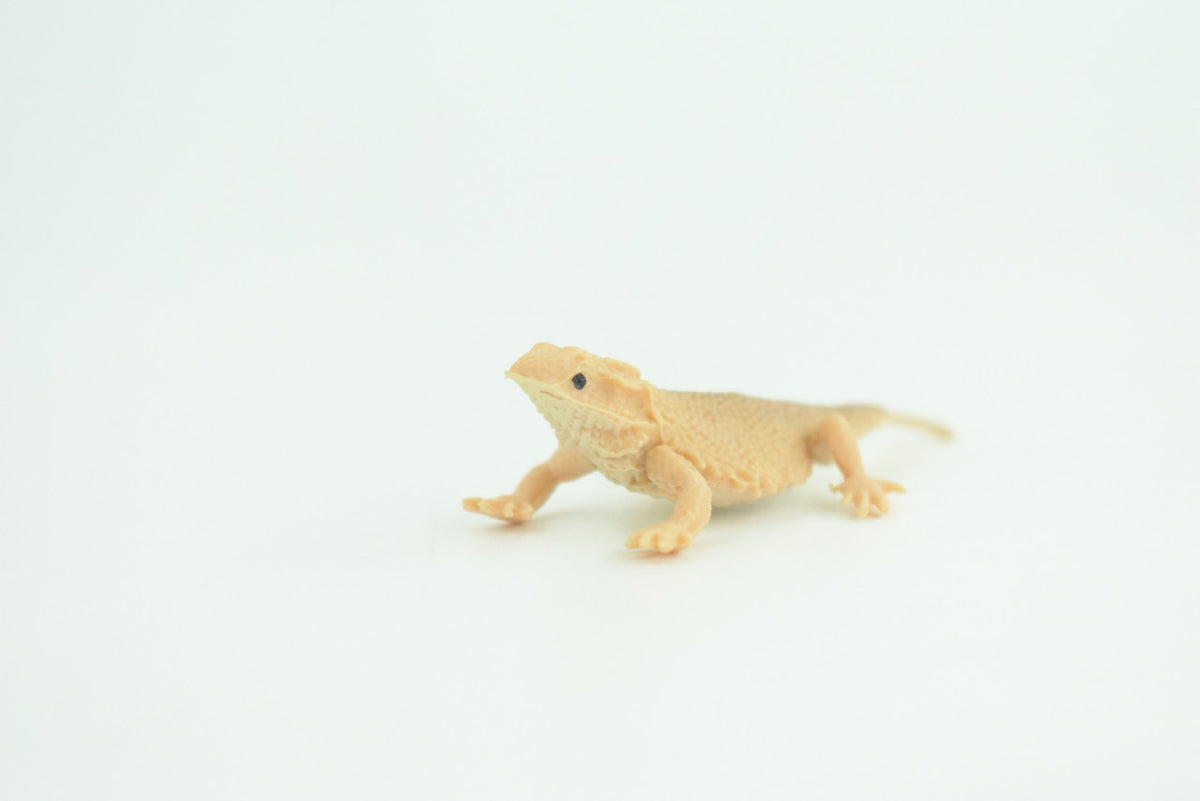 Horned Lizard, Horny Toad, Hand Painted, Educational, Realistic, Rubber, Reptile, Lizard, Diorama, Figure, Toys, Kids, Gift,  2  1/2 Inches. CH930 BB204