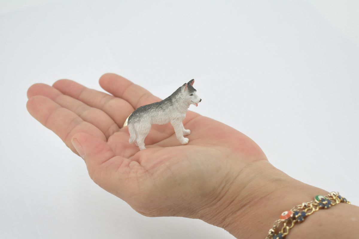 Huskie, Alaskan Husky Sled Dog, Canine, High Quality, Rubber, Hand Painted, Realistic, Figure, Model, Replica, Toy, Kids, Educational, Gift,      2"  