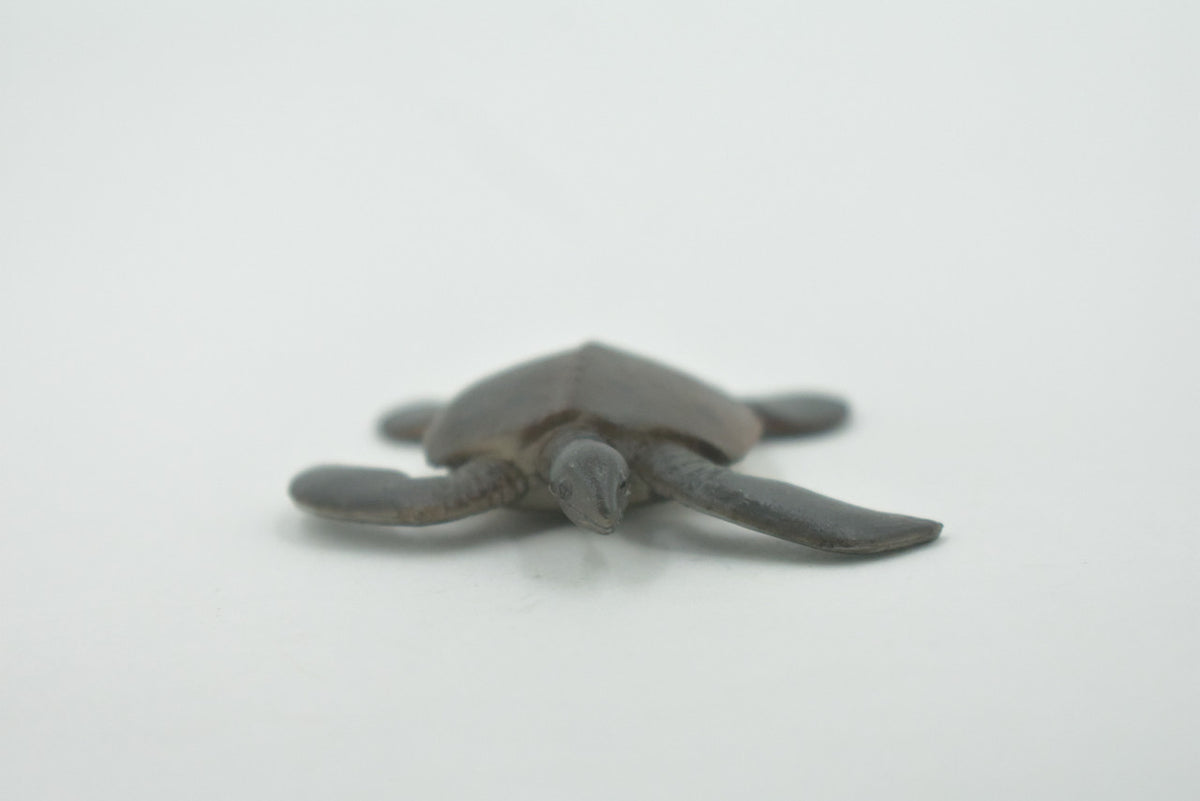 Turtle, Brown Spotted Turtle, High Quality, Hand Painted, Rubber Reptile, Realistic Toy Figure, Model, Replica, Kids, Educational, Gift,   2"    CH620 BB167