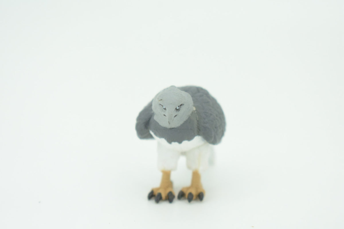 Eagle, Great Harpy Eagle, Harpia harpyja, Hand Painted, Educational, Rubber Animal, Realistic Figure, Lifelike, Gift,    2 1/2"    SF34 B44