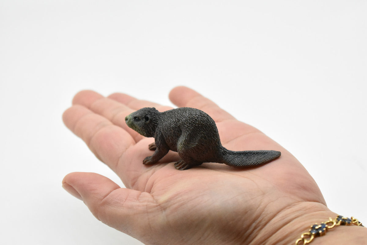 Beaver, Castor canadensis, Very Nice Plastic Design, American Animal, Educational, Hand Painted, Diorama Figure, Lifelike Model, Toy,  3 inches. 