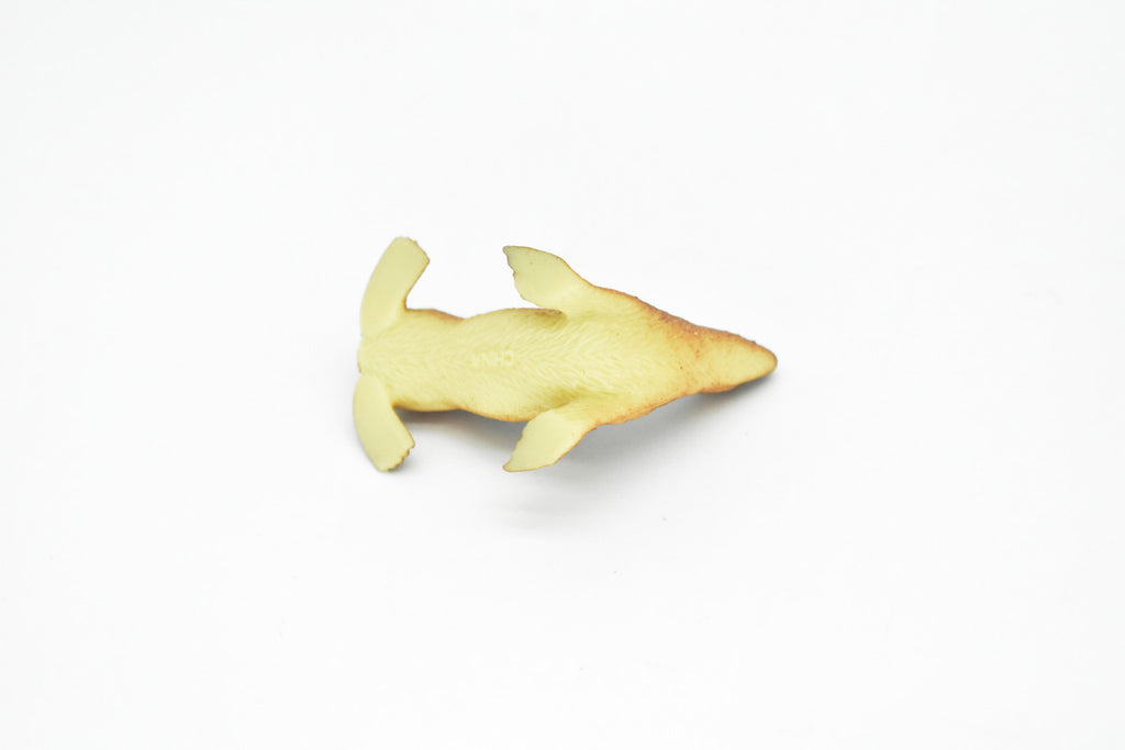 Sea Lion, Very Nice Plastic Replica   2"   -    F227 B36