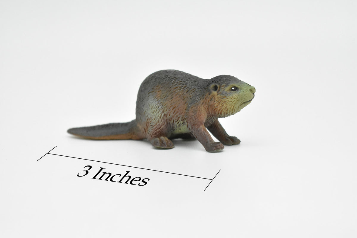 Beaver, Castor canadensis, Very Nice Plastic Design, American Animal, Educational, Hand Painted, Diorama Figure, Lifelike Model, Toy,  3 inches. 