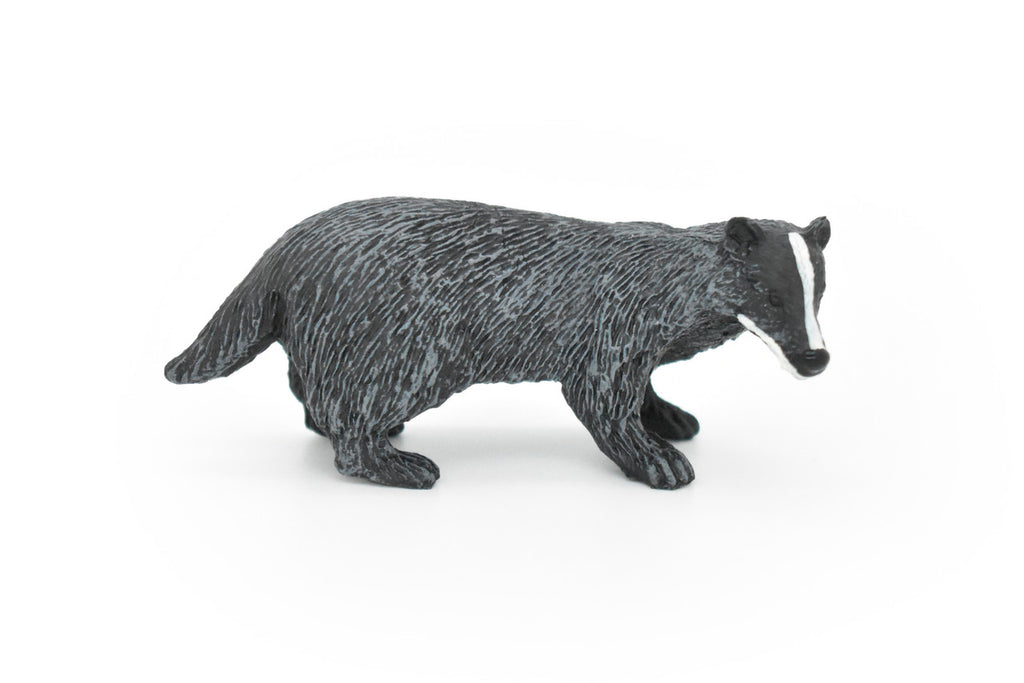 Badger, Mustelidae, Museum Quality, Hand Painted, Rubber Animal, Realistic Toy Figure, Diorama Model, Kids, Educational, 3 Inches. 