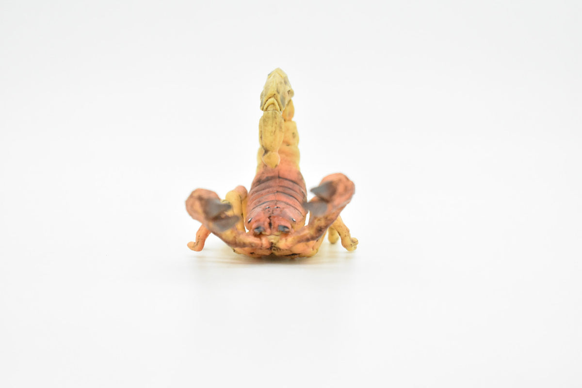 Scorpion, Brown, Arachnids, Scorpiones, Museum Quality, Educational, Hand Painted, Rubber Insect, Diorama Model, Realistic, Kids, Toys,  3 1/2 Inches.