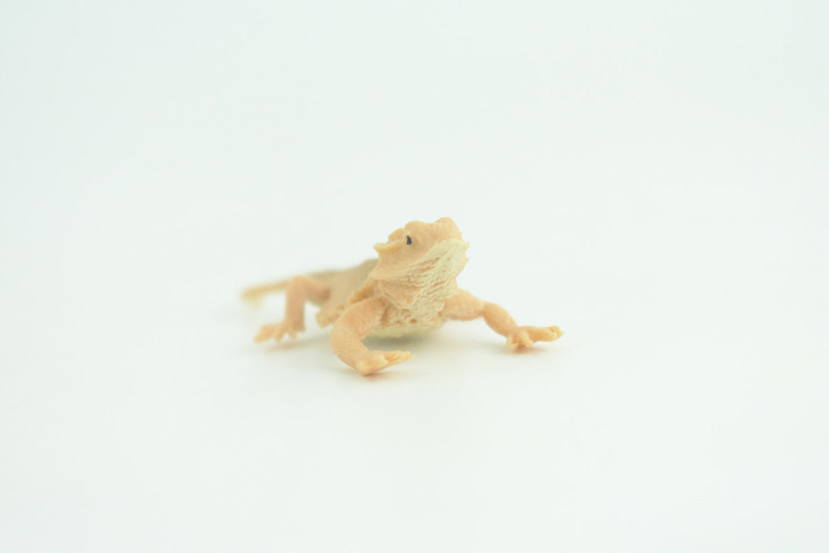 Horned Lizard, Horny Toad, Hand Painted, Educational, Realistic, Rubber, Reptile, Lizard, Diorama, Figure, Toys, Kids, Gift,  2  1/2 Inches. CH930 BB204