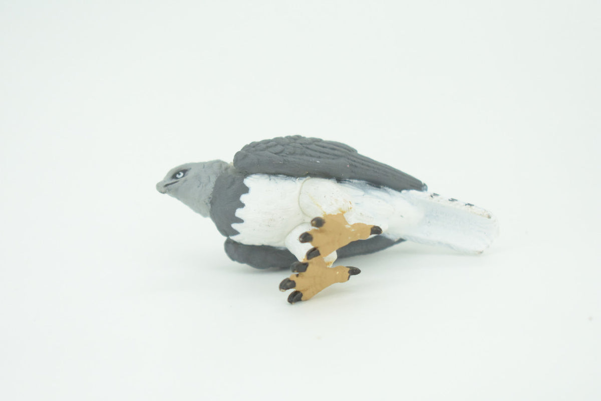 Eagle, Great Harpy Eagle, Harpia harpyja, Hand Painted, Educational, Rubber Animal, Realistic Figure, Lifelike, Gift,    2 1/2"    SF34 B44