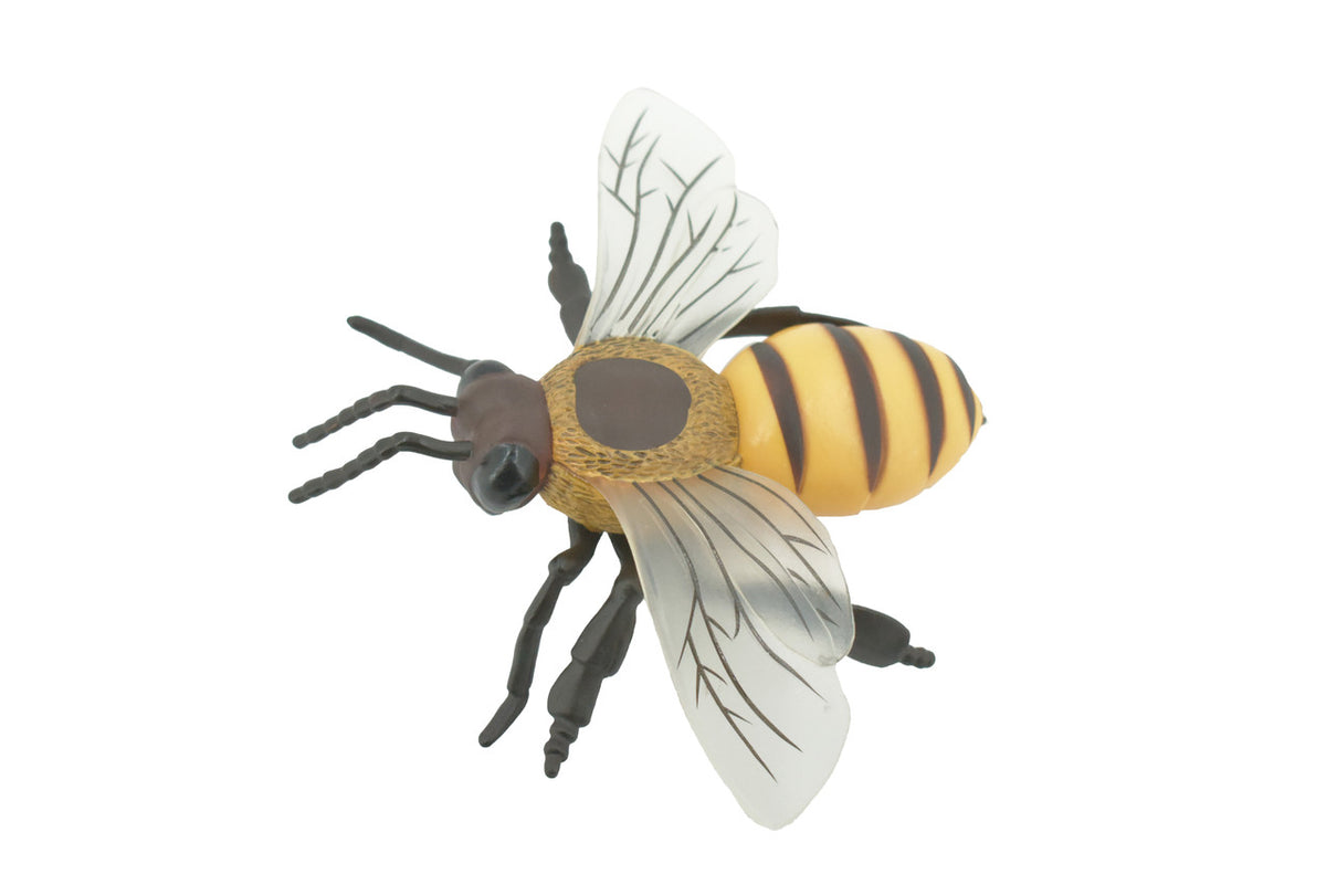 Bee, Bumblebee, Yellow Jacket, Museum Quality, Hand Painted, Rubber, Insect, Realistic, Figure, Model, Replica, Toy, Kids, Educational, Gift,     6" 