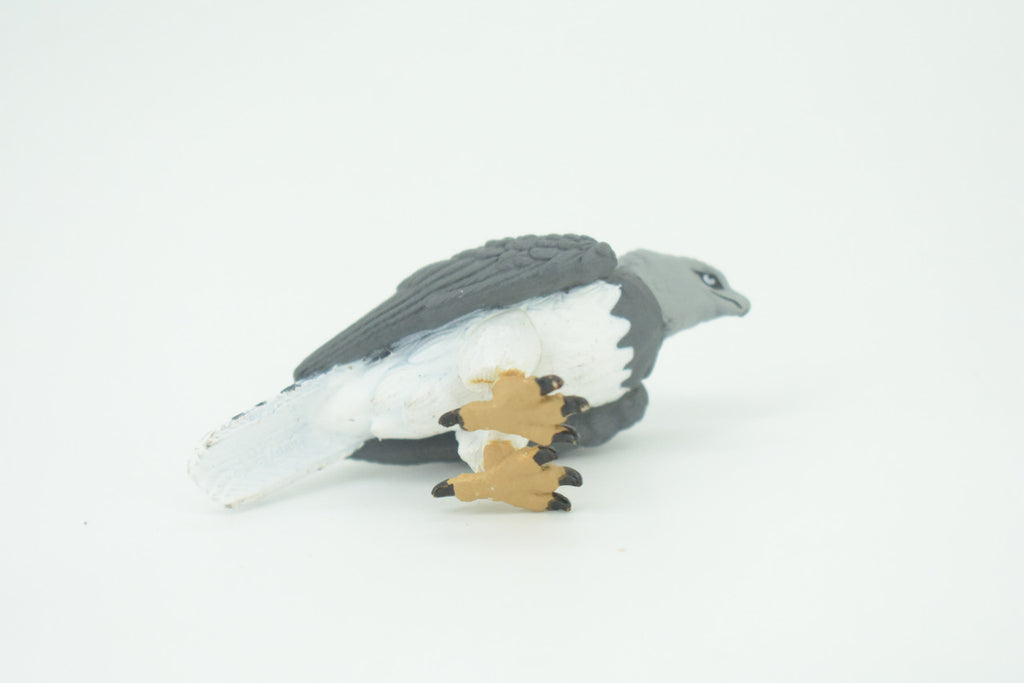Eagle, Great Harpy Eagle, Harpia harpyja, Hand Painted, Educational, Rubber Animal, Realistic Figure, Lifelike, Gift,    2 1/2"    SF34 B44