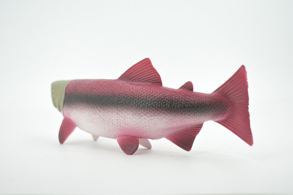 Fish, Coho, Silver Salmon, Spawning, Salmonidae, Museum Quality, Hand Painted, Realistic, Rubber, Figure, Model, Toy, Kids, Educational, Gift,     6 1/2"   CH669 BB170