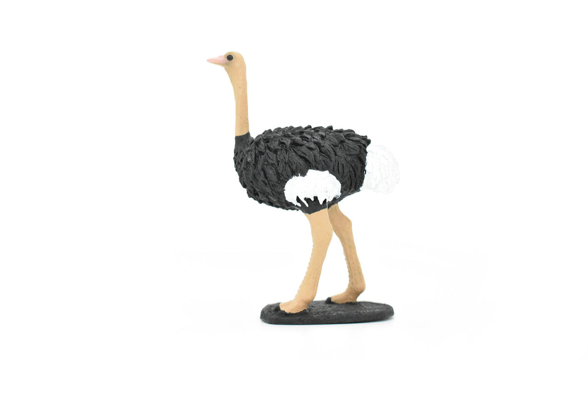 Ostrich, Bird, Museum Quality Rubber Reproduction, Hand Painted Figurines       5"     CH157 B249