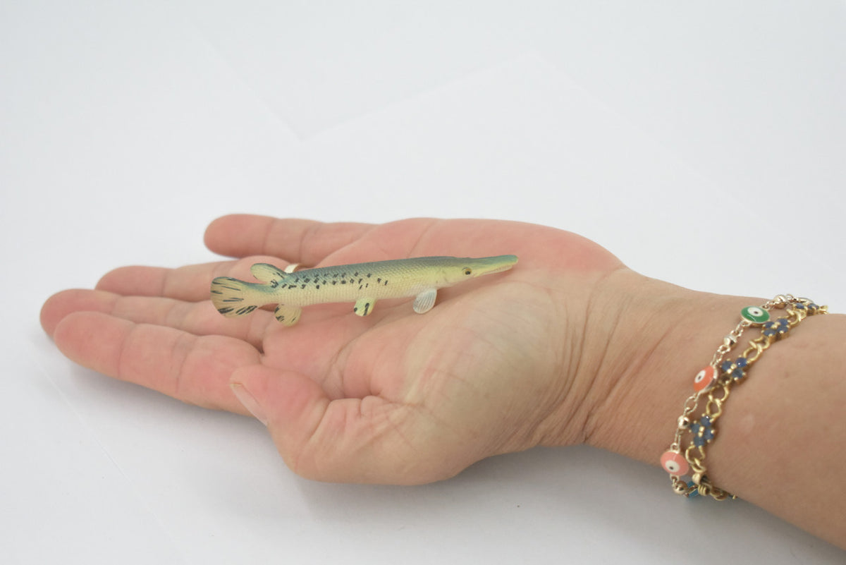 Fish, Alligator Gar, Freshwater, High Quality, Rubber Fish, Hand Painted, Realistic, Figure, Model, Replica, Toy, Kids, Educational, Gift,      3 1/2"       F3446 B88